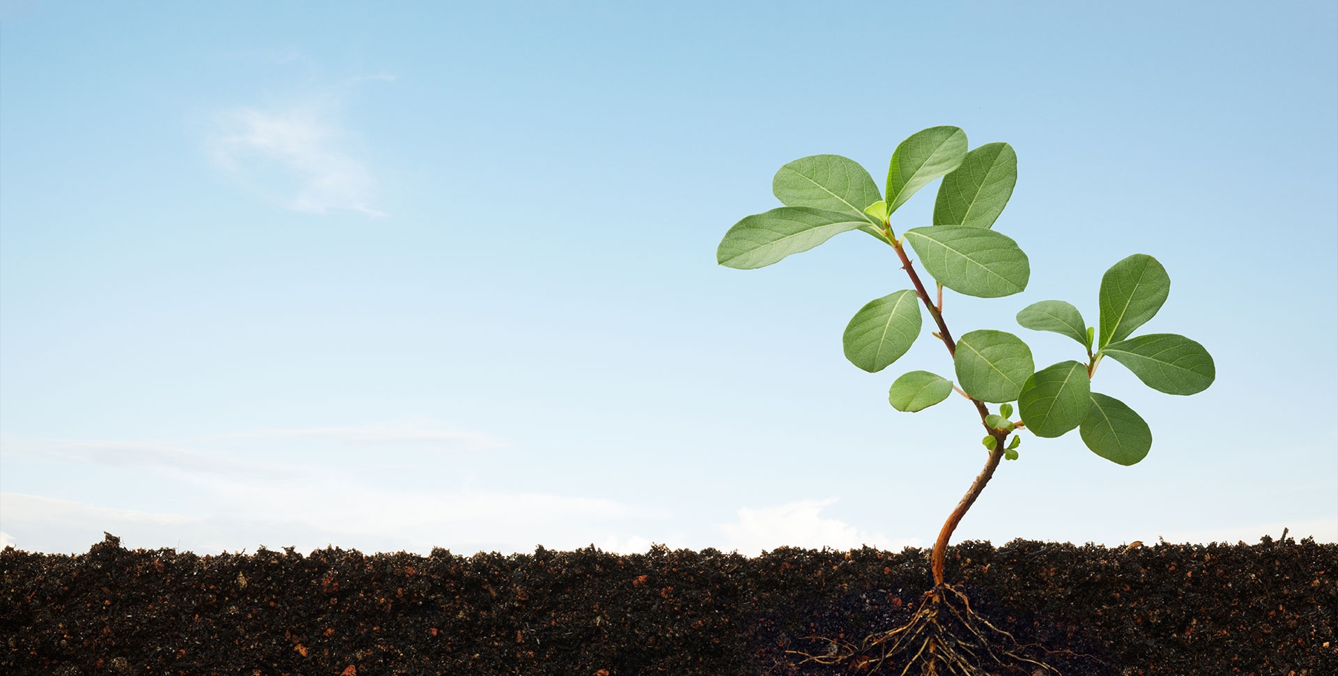 ���ݿ��Ρ�ku(�й���)�ٷ���վ