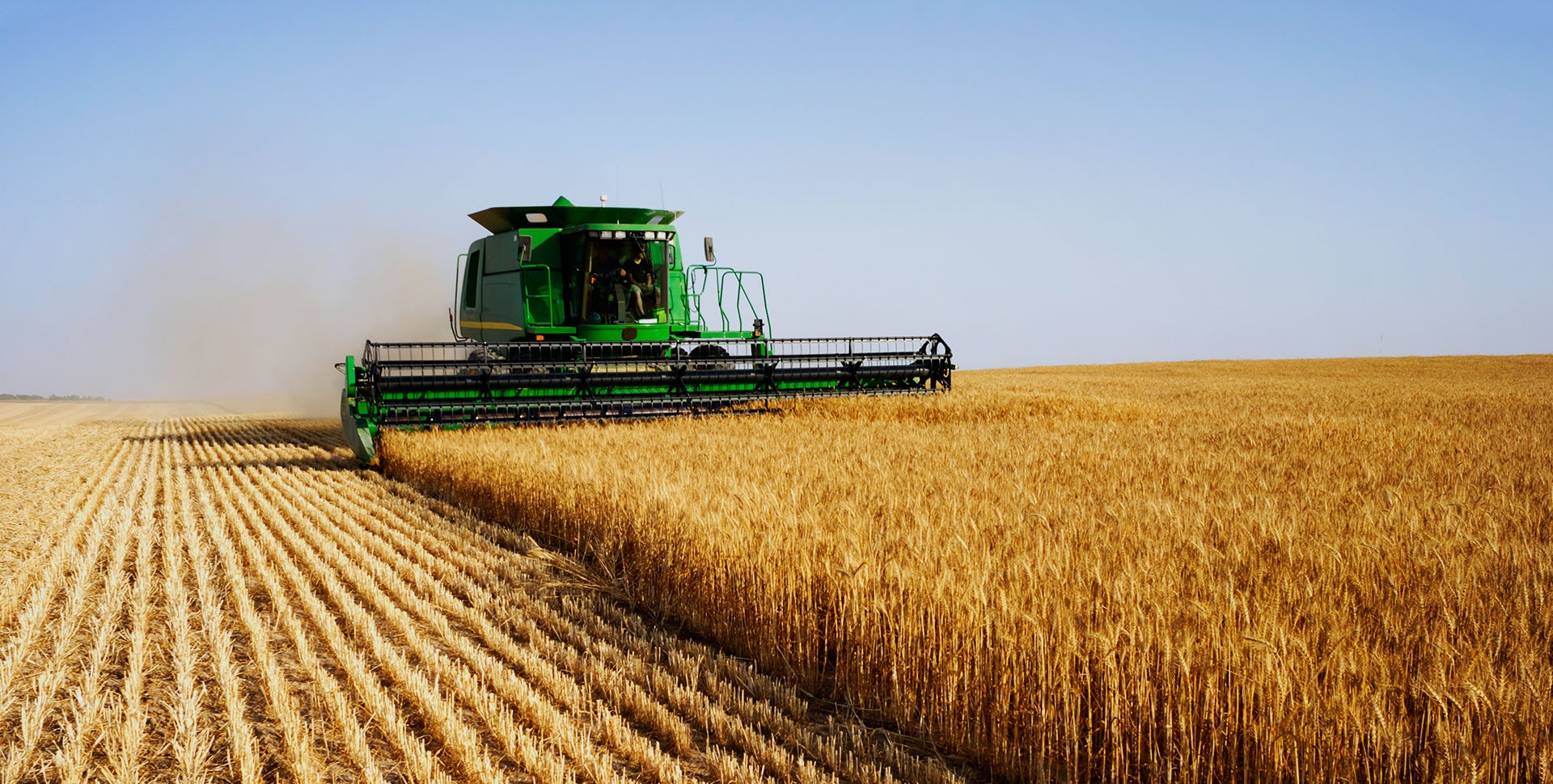 ���ݿ��Ρ�ku(�й���)�ٷ���վ