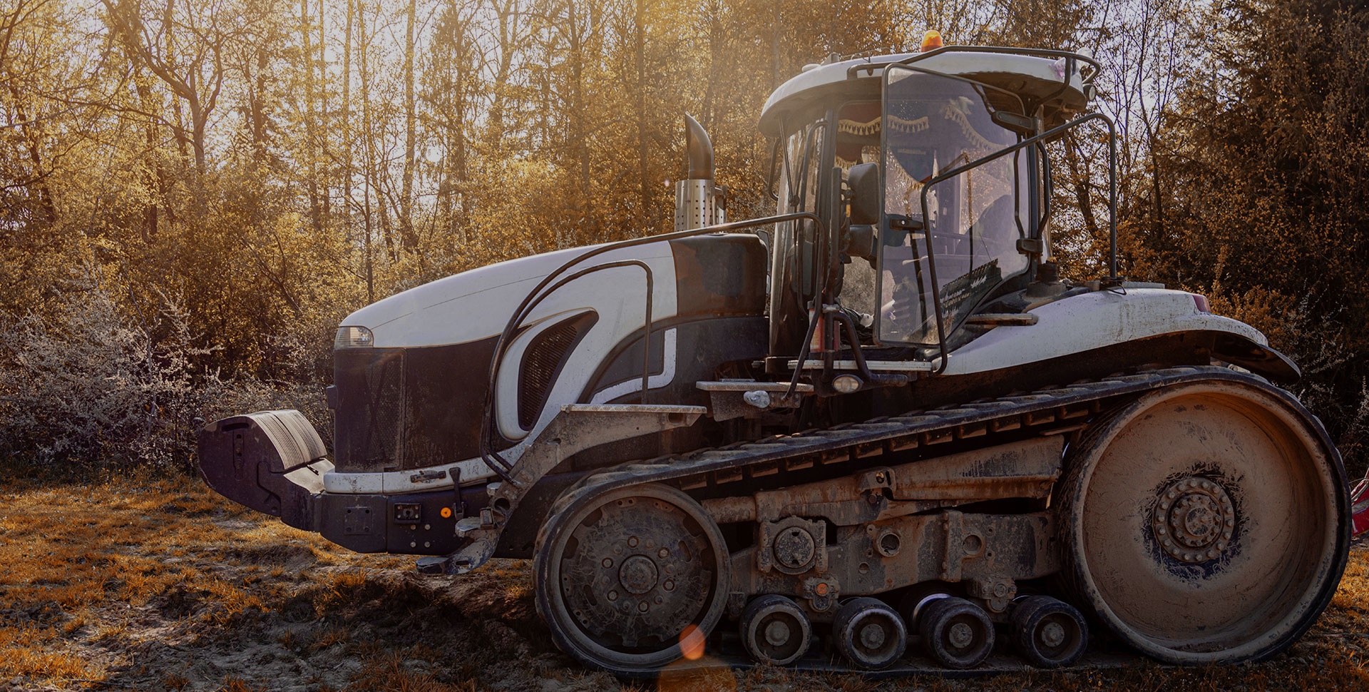 ���ݿ��Ρ�ku(�й���)�ٷ���վ