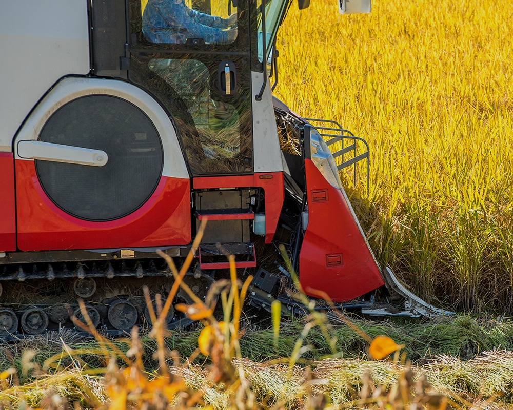 С���ո���Ĵ�