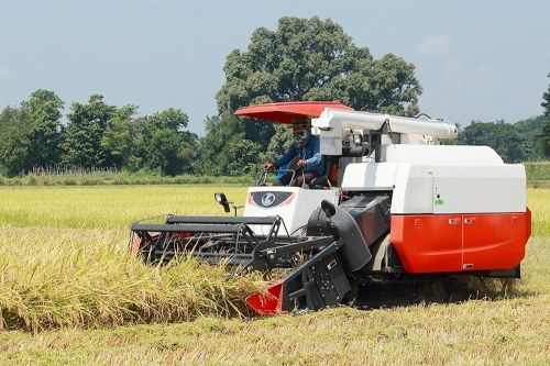 С���ո��Ӧ��